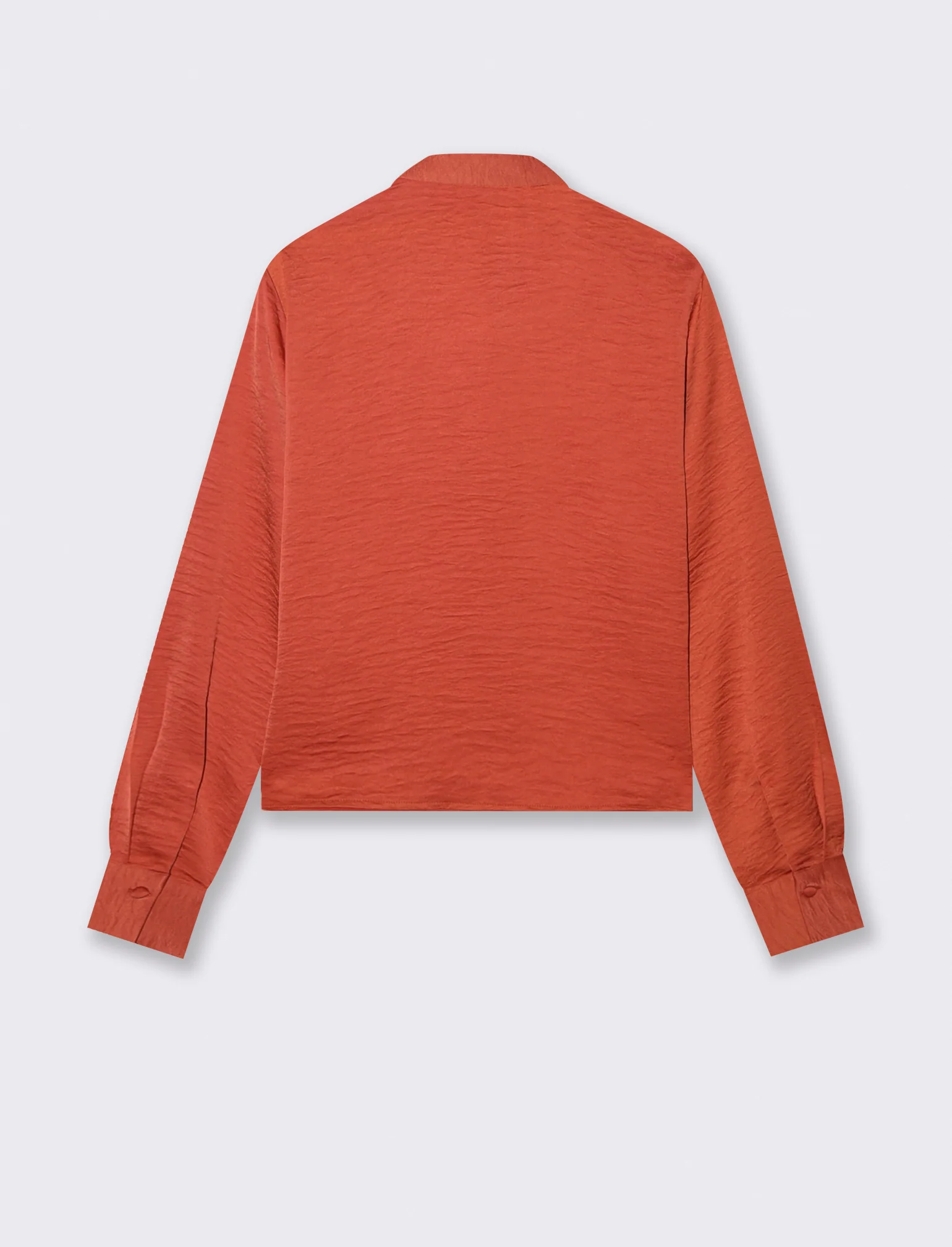Camicia Crop Manica Lunga - Ruggine - Image 2