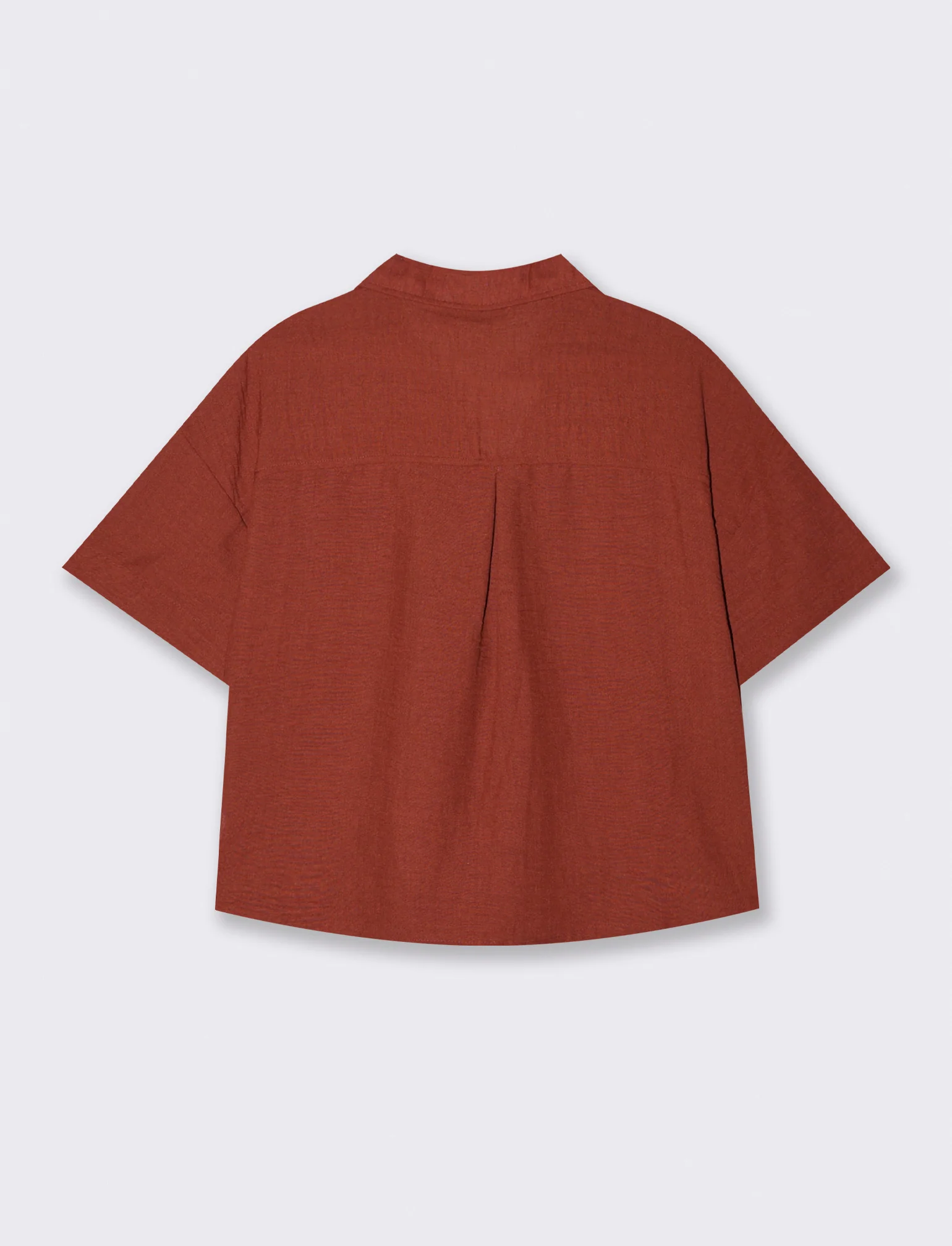 CAMICIA MANICA CORTA - Marrone bruciato - Image 2