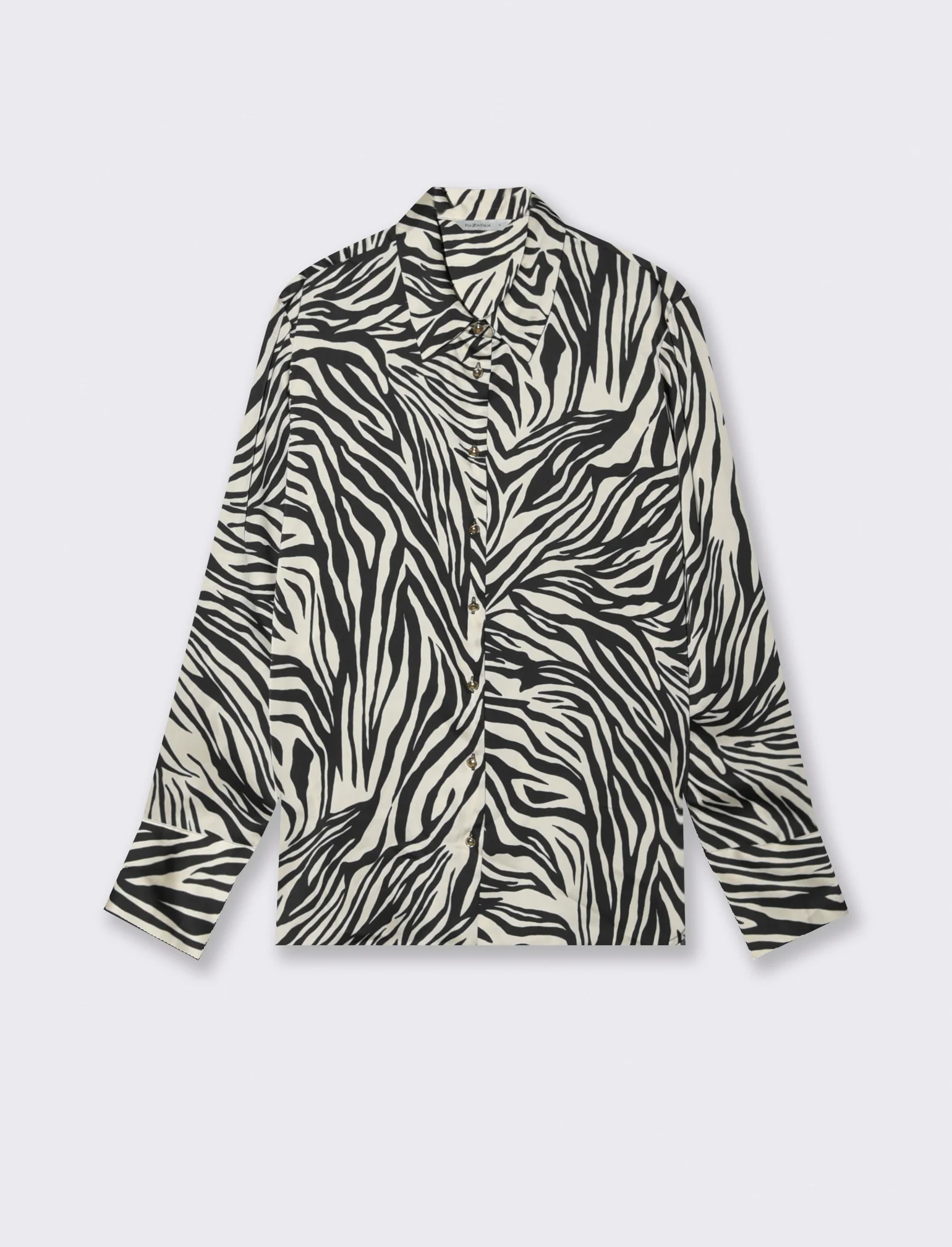 Camicia Manica Lunga Regular Fit - var 2