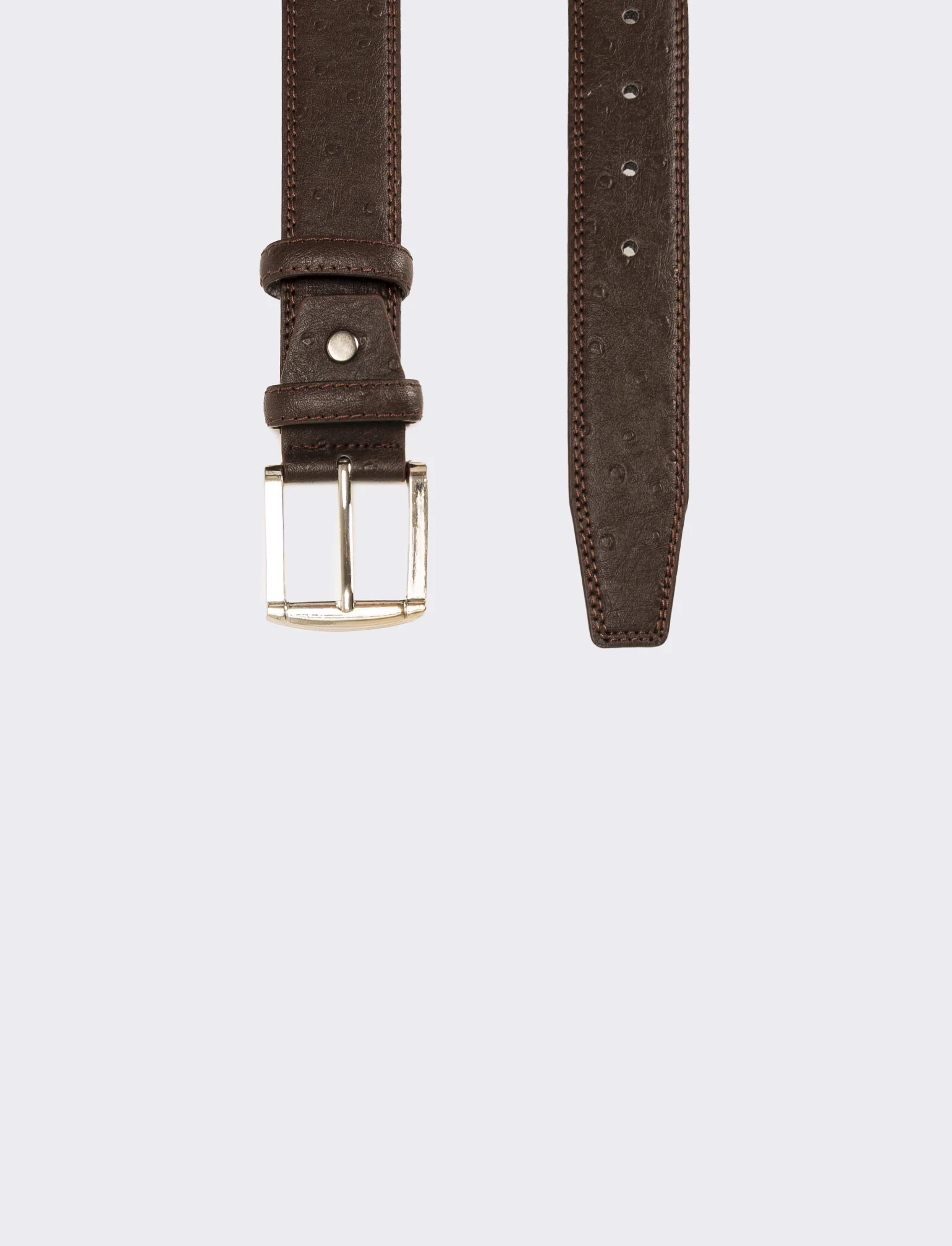Cintura uomo stampa struzzo h 3,5 cm - Marrone - Image 2