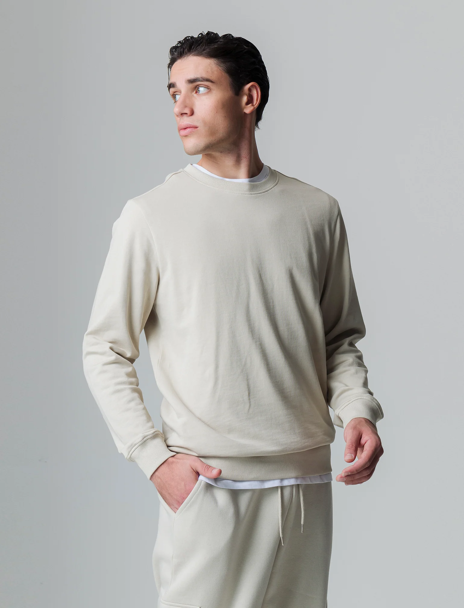 Felpa basic girocollo in cotone da uomo - Grigio ghiaccio - Image 8