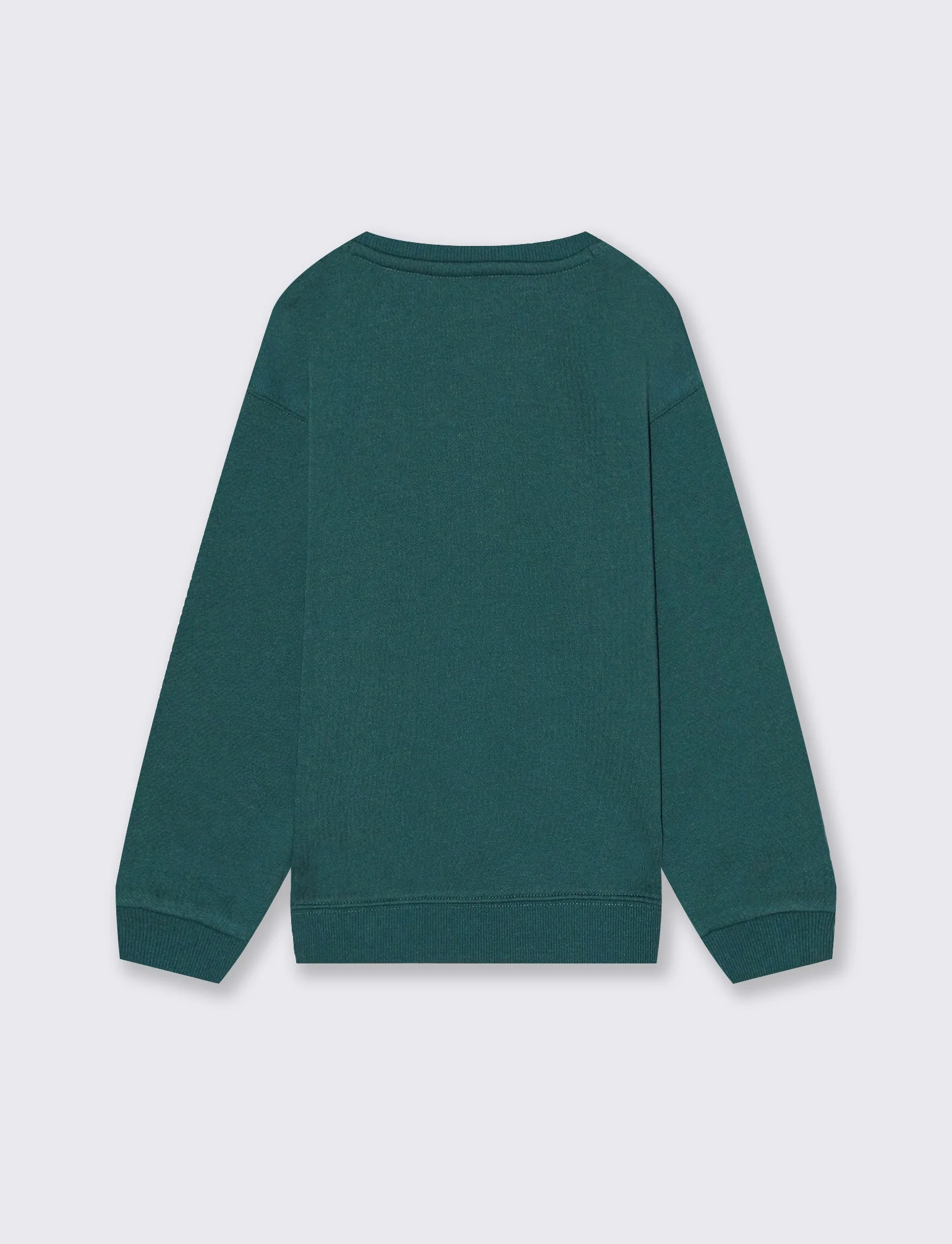 Felpa full zip con stampa. - Verde - Image 2