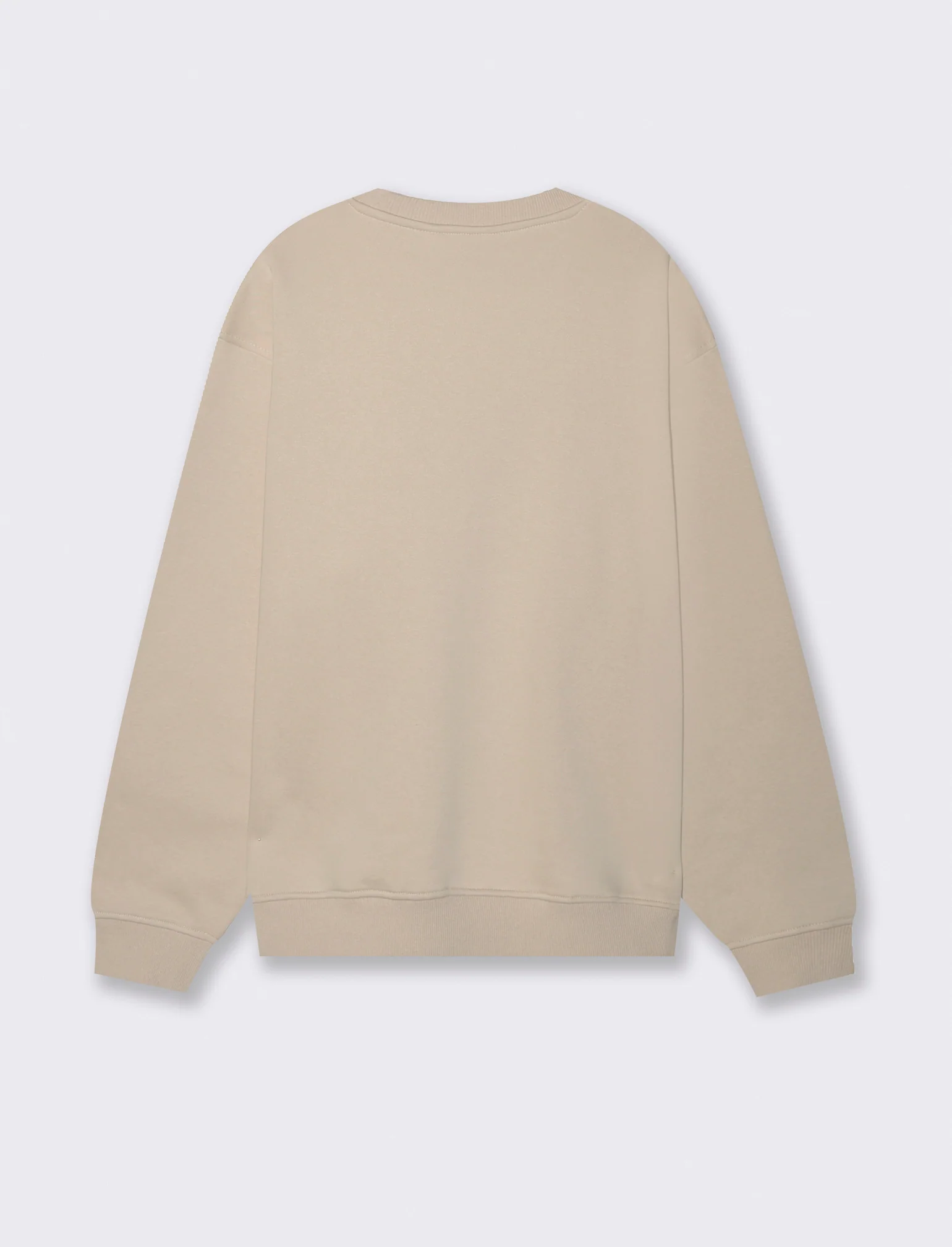 FELPA GIROCOLLO BOXY FIT CON RICAMO PUNTO SPUGNA - Beige - Image 3