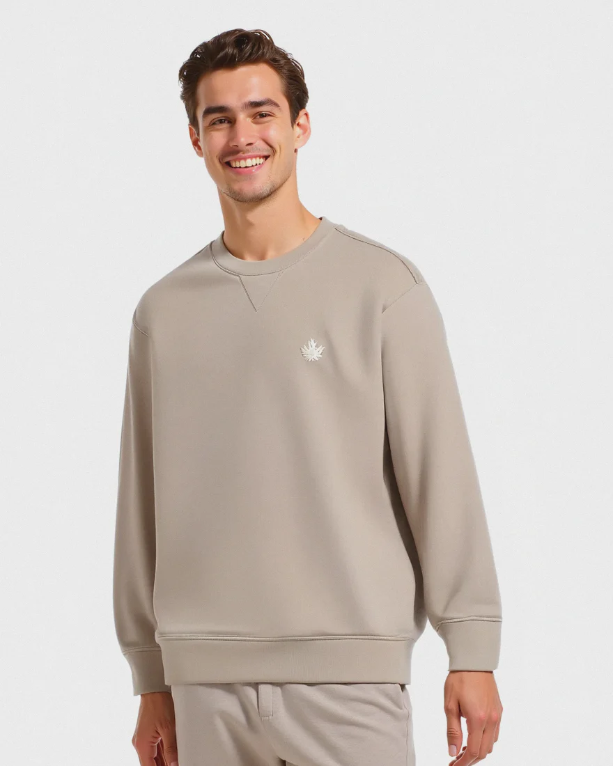 FELPA GIROCOLLO REGULAR FIT CON RICAMO - Beige