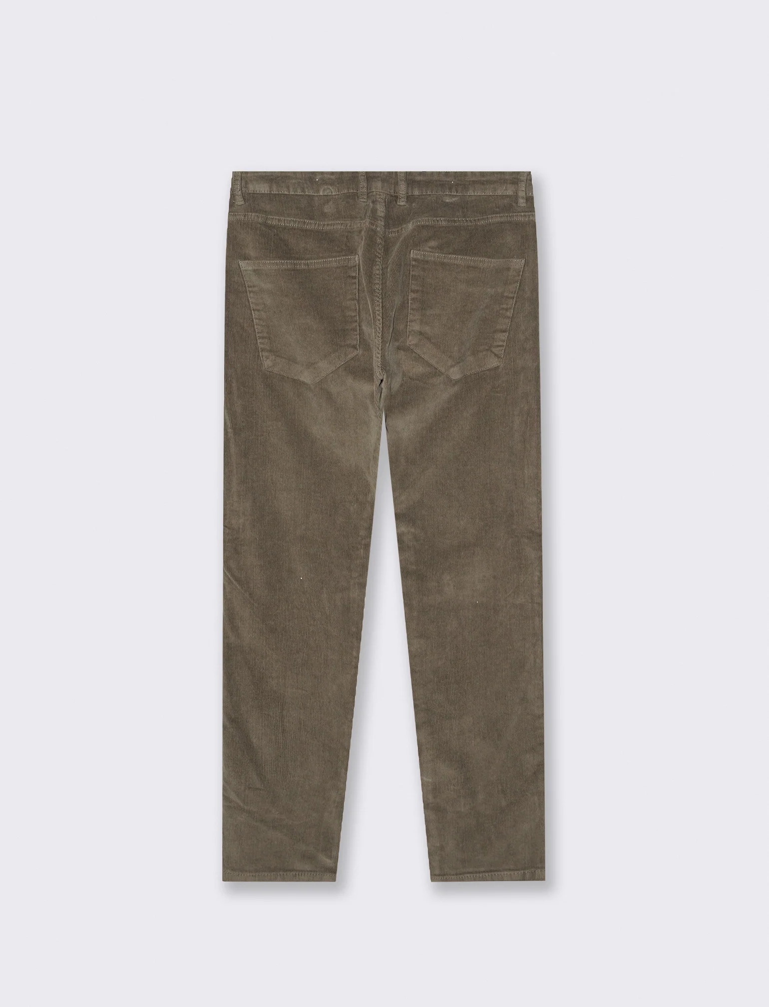 PANTALONI 5 TASCHE IN VELLUTO - Grigio fango - Image 2