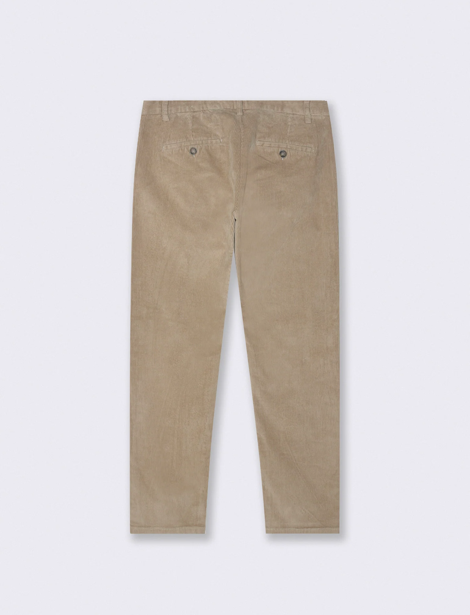 PANTALONI CHINO IN VELLUTO - Beige - Image 2