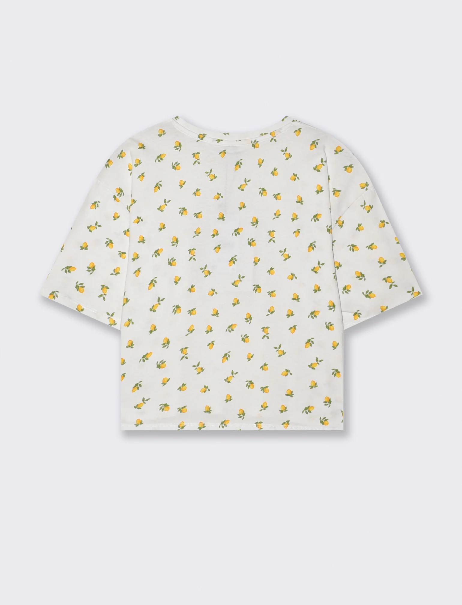 T-Shirt Cotone Girocollo Manica Corta - var 3 - Image 4