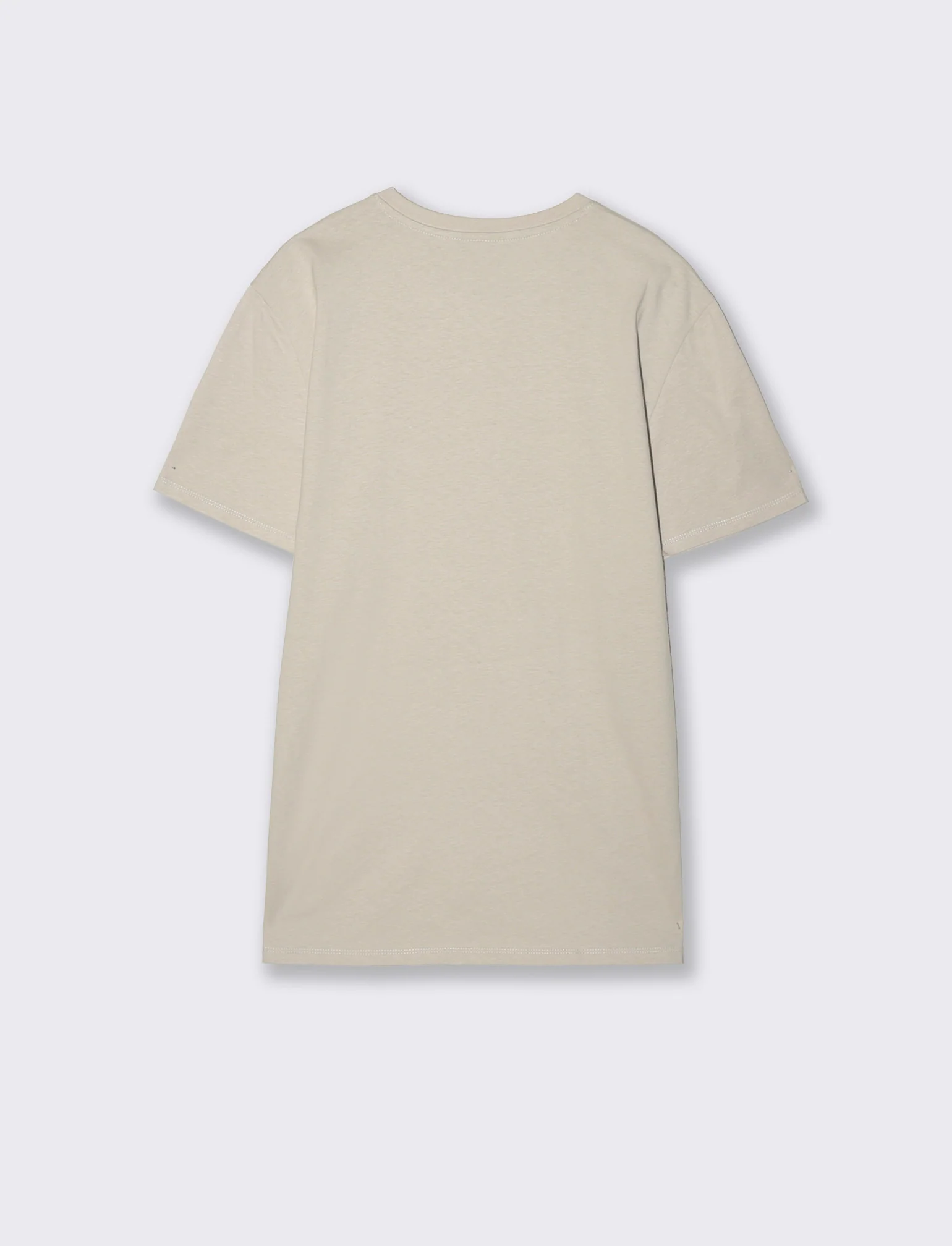 T-shirt girocollo in cotone regular fit - Grigio ghiaccio - Image 2