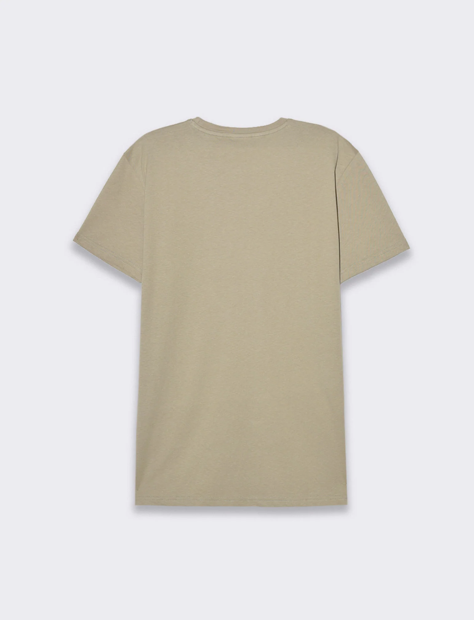 T-shirt in cotone con stampa regular fit da uomo - Verde salvia - Image 2