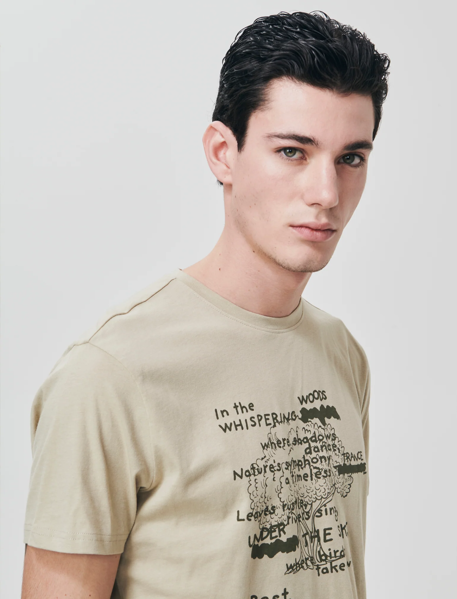 T-shirt in cotone girocollo regular fit - Grigio stone - Image 4