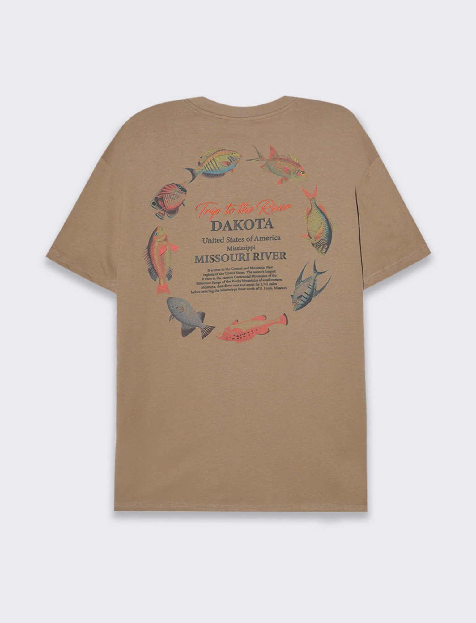 T-shirt loose fit in cotone con stampe da uomo - Grigio tortora - Image 2