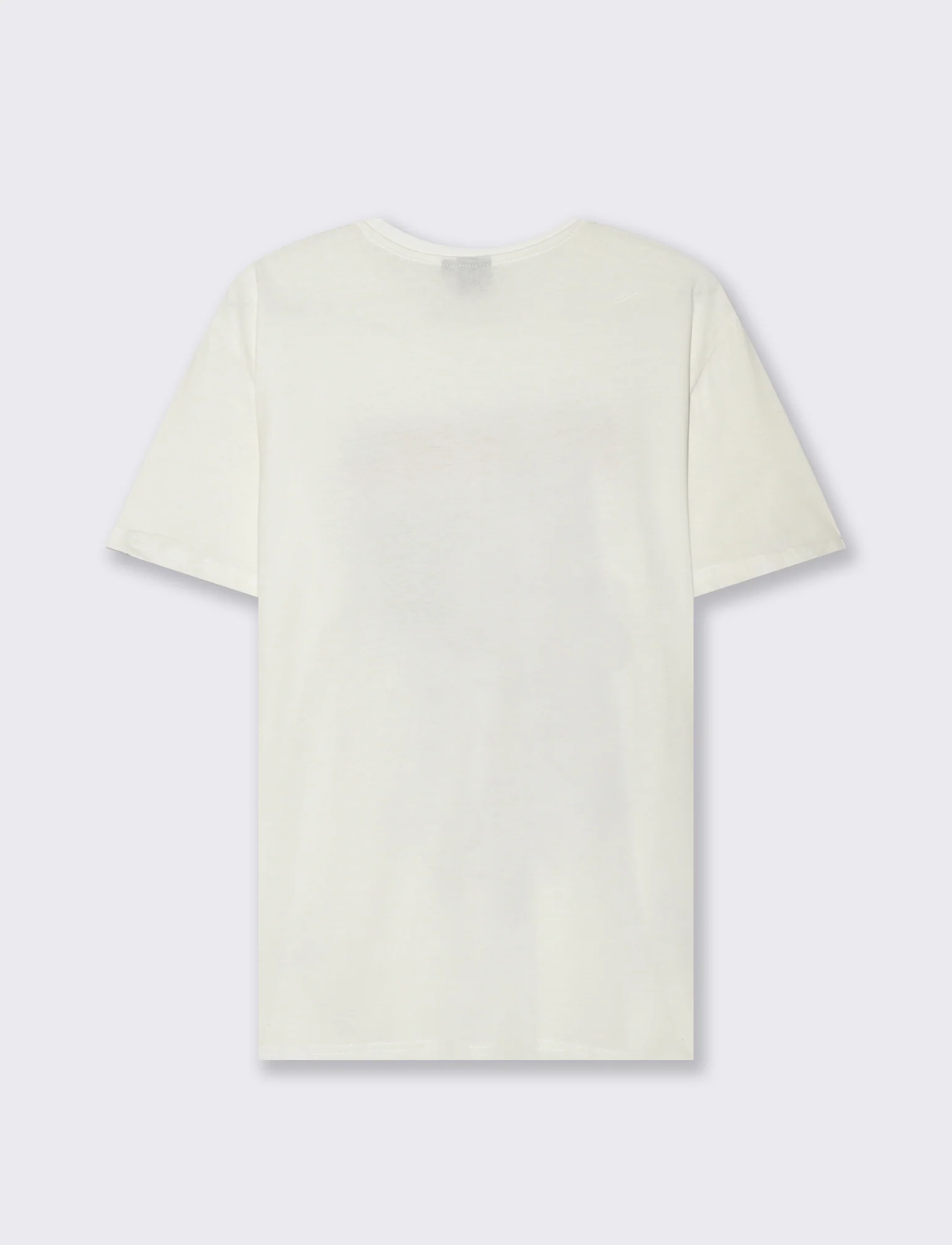 T-SHIRT STAMPA TEX WILLER - Bianco sporco - Image 3